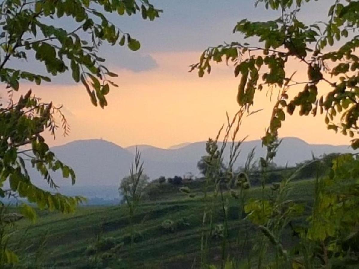 Feriendomizil Bergamini Διαμέρισμα Bischoffingen Εξωτερικό φωτογραφία
