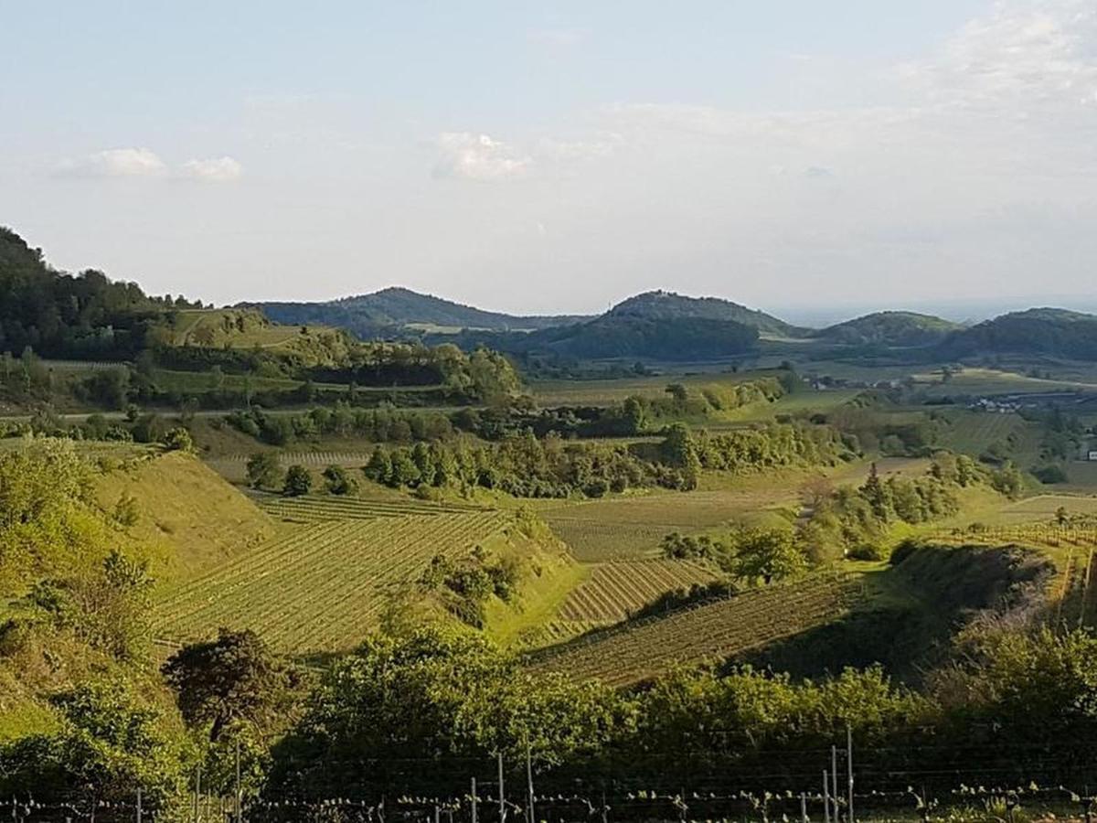 Feriendomizil Bergamini Διαμέρισμα Bischoffingen Εξωτερικό φωτογραφία