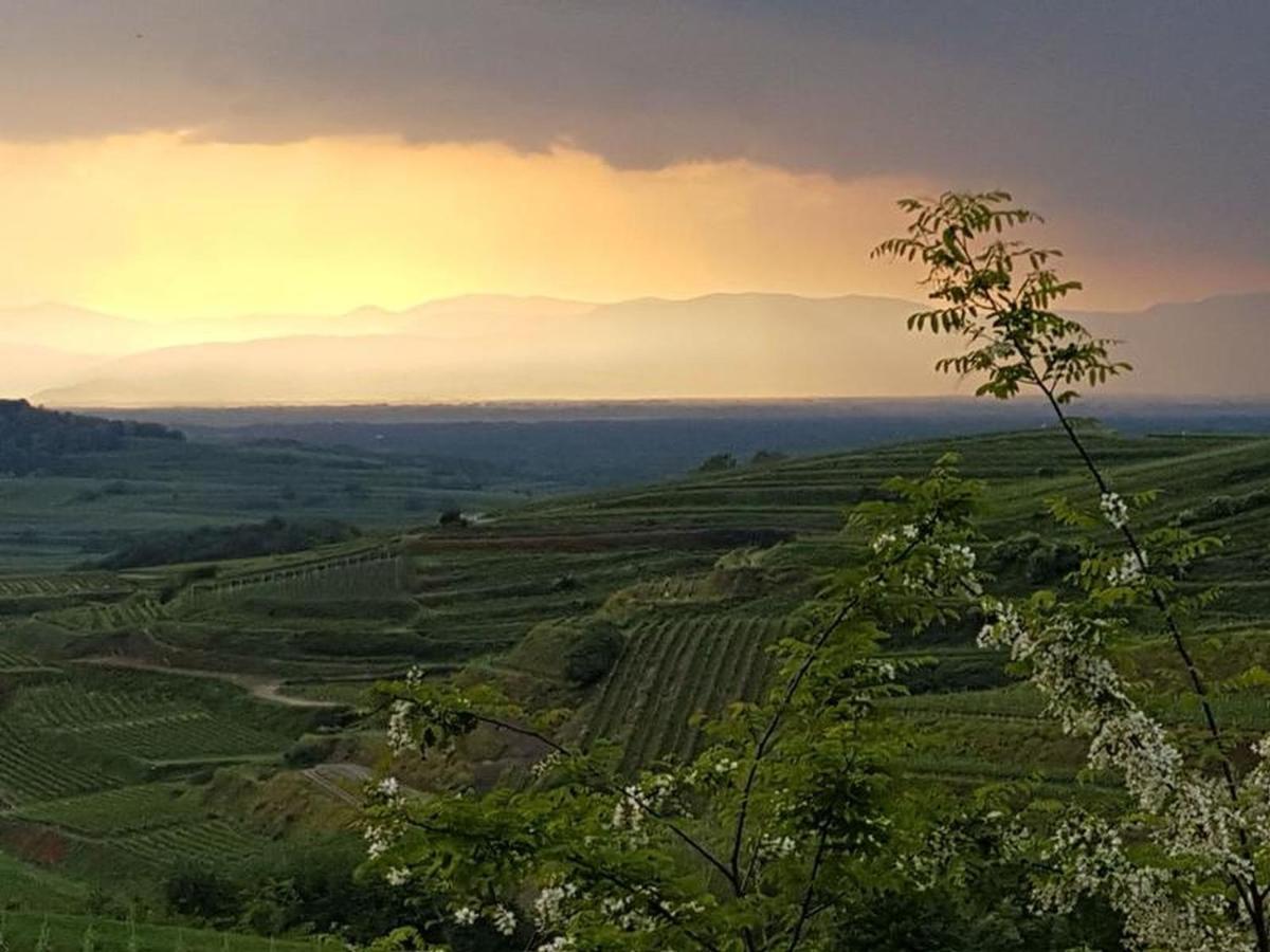 Feriendomizil Bergamini Διαμέρισμα Bischoffingen Εξωτερικό φωτογραφία
